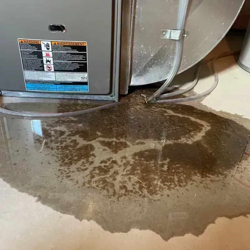 Appliance Leak Cleanup in Uvalde, TX